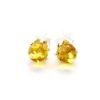 Polished small stud rounded lemon color earrings