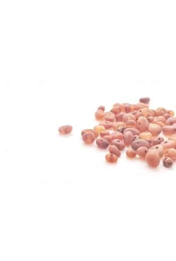 Loose raw semi rounded honey color beads 100g